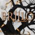 El viaje de la libélula: El poder del destino y la pureza de los diamantes convierten esta novela histórica en una joya por descubrir (Grandes Novelas)