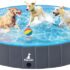 Trebo – Botella de agua de 32oz aislada con tapa y popote, termo de doble pared de acero inoxidable con asa de cuerda de paracaídas, mantiene el agua caliente durante 24 horas y fría durante 48 horas