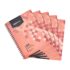 Lote de 2 bloques BRISTOL OXFORD PERFORES 148X210 30 fichas 210G Q5/5