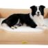 oneisall Arenero para gatos autolimpiante con sistema EaseClean™, arena autolimpiante para gatos XXL para gatos grandes, rejilla de acero inoxidable, modo automático y manual, incluye alfombrilla y 40