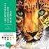 SHEGLAM Rizador Doble Barril 19mm – Ondas Beach Waves, 5 Temperaturas, Anti-Quemaduras, Doble Voltaje
