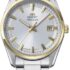 Rhodenwald & Söhne Reloj para Hombre Acero Inoxidable Dorado Cuarzo 10 ATM