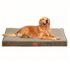 rabbitgoo Arnes para Gatos Antiescape con Correa 150cm, Arnes Gato Ajustable Reflectante, Chaleco de Tela de Malla Suave y Transpirable, Arnés Gato Mediano para Caminar Entrenar, S, Verde